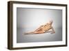 Naked Woman Laying Down with Skeletal Bones Superimposed-null-Framed Art Print