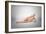 Naked Woman Laying Down with Skeletal Bones Superimposed-null-Framed Art Print