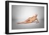 Naked Woman Laying Down with Skeletal Bones Superimposed-null-Framed Art Print