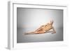 Naked Woman Laying Down with Skeletal Bones Superimposed-null-Framed Art Print