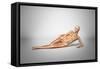 Naked Woman Laying Down with Skeletal Bones Superimposed-null-Framed Stretched Canvas