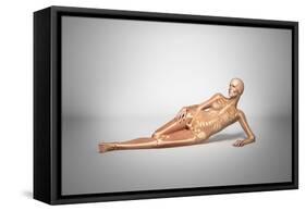 Naked Woman Laying Down with Skeletal Bones Superimposed-null-Framed Stretched Canvas