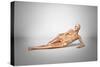 Naked Woman Laying Down with Skeletal Bones Superimposed-null-Stretched Canvas