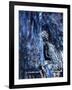 Naked Woman, Right Hand Panel of a Diptych, 1990-Stephen Finer-Framed Giclee Print