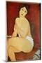 Naked Woman Seated Painting by Amedeo Modigliani (1884-1920) 1917 Sun. 1X0,65 M Collection Privee --Amedeo Modigliani-Mounted Giclee Print