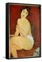 Naked Woman Seated Painting by Amedeo Modigliani (1884-1920) 1917 Sun. 1X0,65 M Collection Privee --Amedeo Modigliani-Framed Stretched Canvas