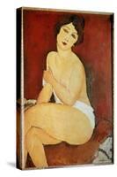 Naked Woman Seated Painting by Amedeo Modigliani (1884-1920) 1917 Sun. 1X0,65 M Collection Privee --Amedeo Modigliani-Stretched Canvas