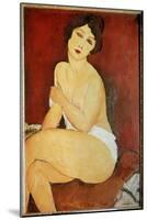 Naked Woman Seated Painting by Amedeo Modigliani (1884-1920) 1917 Sun. 1X0,65 M Collection Privee --Amedeo Modigliani-Mounted Giclee Print