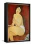 Naked Woman Seated Painting by Amedeo Modigliani (1884-1920) 1917 Sun. 1X0,65 M Collection Privee --Amedeo Modigliani-Framed Stretched Canvas