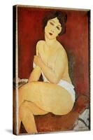 Naked Woman Seated Painting by Amedeo Modigliani (1884-1920) 1917 Sun. 1X0,65 M Collection Privee --Amedeo Modigliani-Stretched Canvas