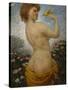 Naked Woman with a Bird in the Green, 1881-Olaf Isaachsen-Stretched Canvas