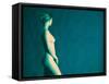 Naked Woman-Cristina-Framed Stretched Canvas