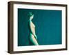 Naked Woman-Cristina-Framed Photographic Print