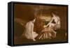 Naked Women by Campfire-null-Framed Stretched Canvas