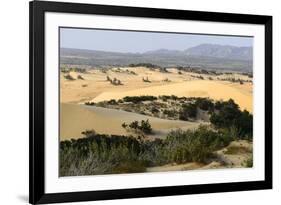 Nam Cuong Dunes, Phan Rang, Ninh Thuan Province, Vietnam, Indochina, Southeast Asia, Asia-Nathalie Cuvelier-Framed Photographic Print