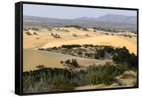 Nam Cuong Dunes, Phan Rang, Ninh Thuan Province, Vietnam, Indochina, Southeast Asia, Asia-Nathalie Cuvelier-Framed Stretched Canvas