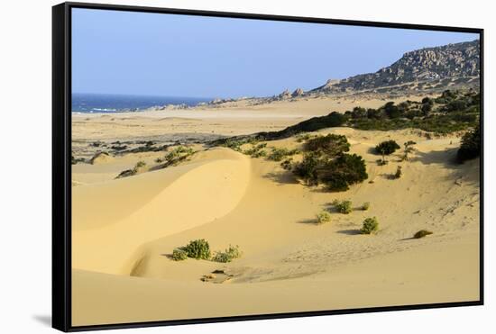 Nam Cuong Dunes, Phan Rang, Ninh Thuan Province, Vietnam, Indochina, Southeast Asia, Asia-Nathalie Cuvelier-Framed Stretched Canvas