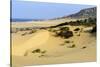 Nam Cuong Dunes, Phan Rang, Ninh Thuan Province, Vietnam, Indochina, Southeast Asia, Asia-Nathalie Cuvelier-Stretched Canvas