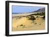 Nam Cuong Dunes, Phan Rang, Ninh Thuan Province, Vietnam, Indochina, Southeast Asia, Asia-Nathalie Cuvelier-Framed Photographic Print