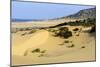 Nam Cuong Dunes, Phan Rang, Ninh Thuan Province, Vietnam, Indochina, Southeast Asia, Asia-Nathalie Cuvelier-Mounted Photographic Print