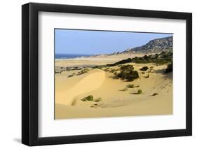 Nam Cuong Dunes, Phan Rang, Ninh Thuan Province, Vietnam, Indochina, Southeast Asia, Asia-Nathalie Cuvelier-Framed Photographic Print