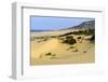 Nam Cuong Dunes, Phan Rang, Ninh Thuan Province, Vietnam, Indochina, Southeast Asia, Asia-Nathalie Cuvelier-Framed Photographic Print