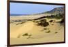 Nam Cuong Dunes, Phan Rang, Ninh Thuan Province, Vietnam, Indochina, Southeast Asia, Asia-Nathalie Cuvelier-Framed Premium Photographic Print