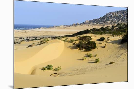 Nam Cuong Dunes, Phan Rang, Ninh Thuan Province, Vietnam, Indochina, Southeast Asia, Asia-Nathalie Cuvelier-Mounted Premium Photographic Print