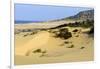 Nam Cuong Dunes, Phan Rang, Ninh Thuan Province, Vietnam, Indochina, Southeast Asia, Asia-Nathalie Cuvelier-Framed Photographic Print