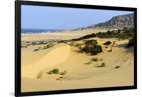 Nam Cuong Dunes, Phan Rang, Ninh Thuan Province, Vietnam, Indochina, Southeast Asia, Asia-Nathalie Cuvelier-Framed Photographic Print