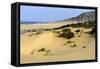 Nam Cuong Dunes, Phan Rang, Ninh Thuan Province, Vietnam, Indochina, Southeast Asia, Asia-Nathalie Cuvelier-Framed Stretched Canvas