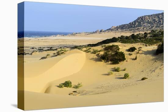 Nam Cuong Dunes, Phan Rang, Ninh Thuan Province, Vietnam, Indochina, Southeast Asia, Asia-Nathalie Cuvelier-Stretched Canvas