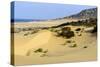 Nam Cuong Dunes, Phan Rang, Ninh Thuan Province, Vietnam, Indochina, Southeast Asia, Asia-Nathalie Cuvelier-Stretched Canvas