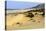 Nam Cuong Dunes, Phan Rang, Ninh Thuan Province, Vietnam, Indochina, Southeast Asia, Asia-Nathalie Cuvelier-Stretched Canvas