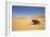 Namaqua Chameleon with Dunes-null-Framed Photographic Print