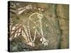 Namarrgon, the Lightning Man, One of Supernatural Ancestors Depicted at Aboriginal Rock Art Site-Robert Francis-Stretched Canvas