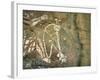 Namarrgon, the Lightning Man, One of Supernatural Ancestors Depicted at Aboriginal Rock Art Site-Robert Francis-Framed Photographic Print