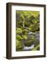 Nameless Brook, Laugarvegur, Fjallabak, South Iceland, Iceland-Rainer Mirau-Framed Photographic Print