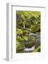 Nameless Brook, Laugarvegur, Fjallabak, South Iceland, Iceland-Rainer Mirau-Framed Photographic Print