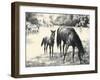 Names; Good And Bad-C.W. Anderson-Framed Art Print