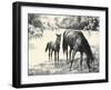 Names; Good And Bad-C.W. Anderson-Framed Art Print