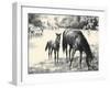 Names; Good And Bad-C.W. Anderson-Framed Art Print