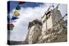 Namgyal Tsemo Gompa, Leh, Ladakh, India, Asia-Peter Barritt-Stretched Canvas