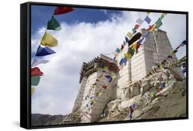 Namgyal Tsemo Gompa, Leh, Ladakh, India, Asia-Peter Barritt-Framed Stretched Canvas