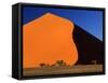 Namib Desert Dune 45 at Sunrise-null-Framed Stretched Canvas