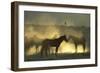 Namib Desert Horse Feral Descendants of Horses-null-Framed Photographic Print
