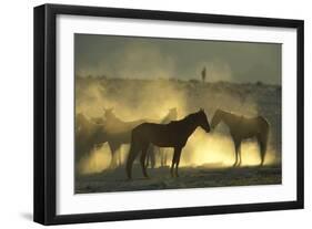 Namib Desert Horse Feral Descendants of Horses-null-Framed Photographic Print