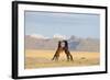 Namib Desert Horses Fighting-null-Framed Photographic Print