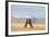 Namib Desert Horses Fighting-null-Framed Photographic Print