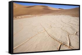 Namib Desert, Namibia, Africa-Thorsten Milse-Framed Stretched Canvas